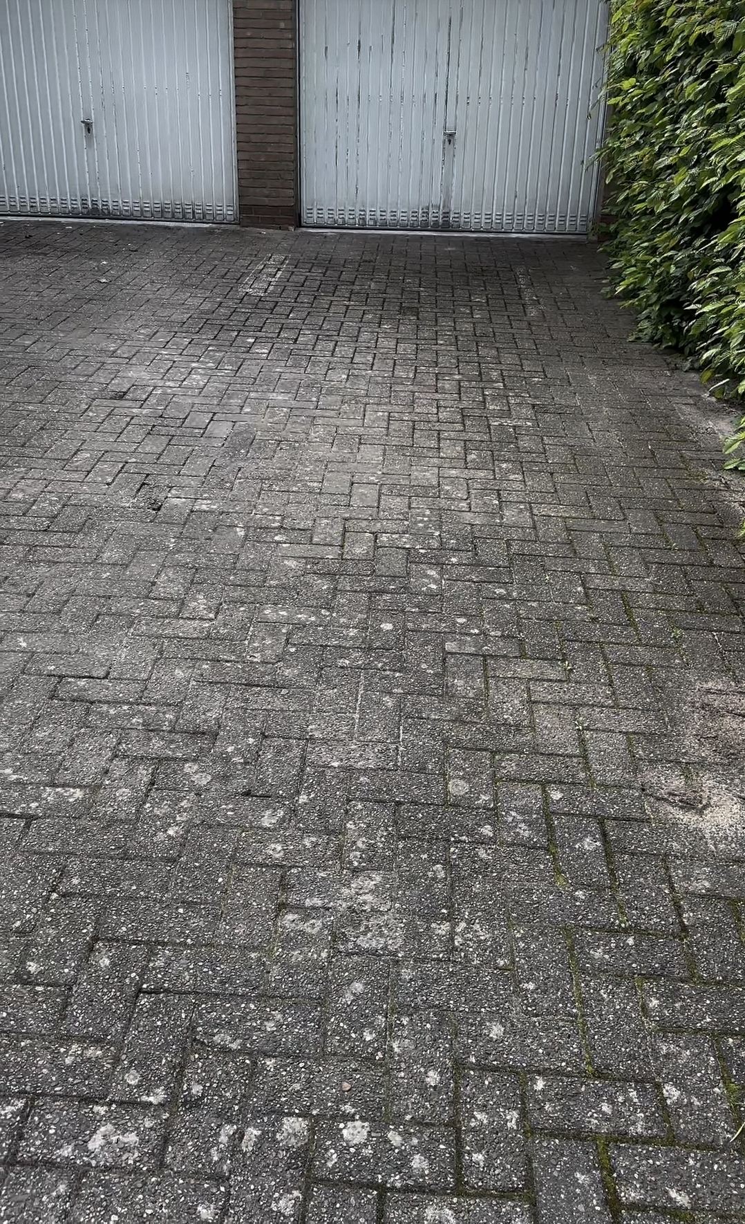 Gepflasterte Einfahrt vor der Reinigung – stark vermoost und verschmutzt